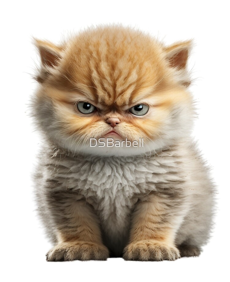 Fierce Feline: Adorable Yet Angry Cat Design | iPad Case & Skin