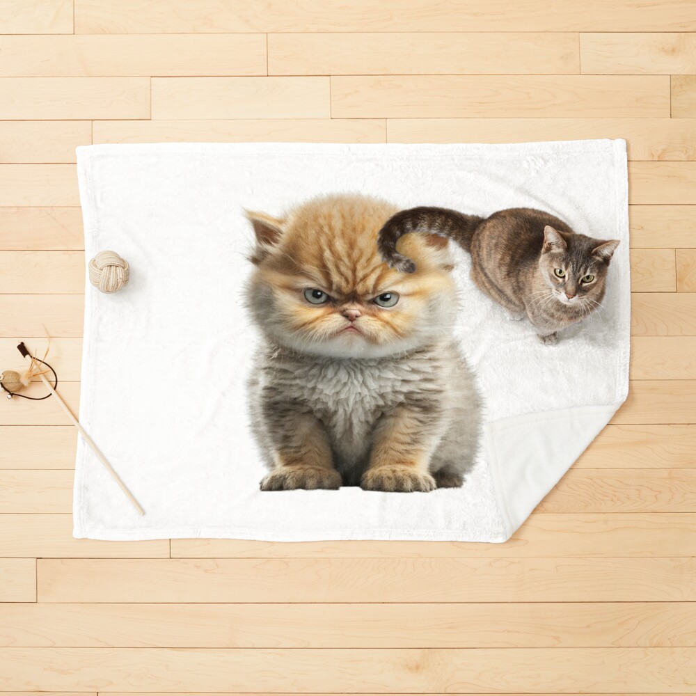 Fierce Feline: Adorable Yet Angry Cat Design | iPad Case & Skin