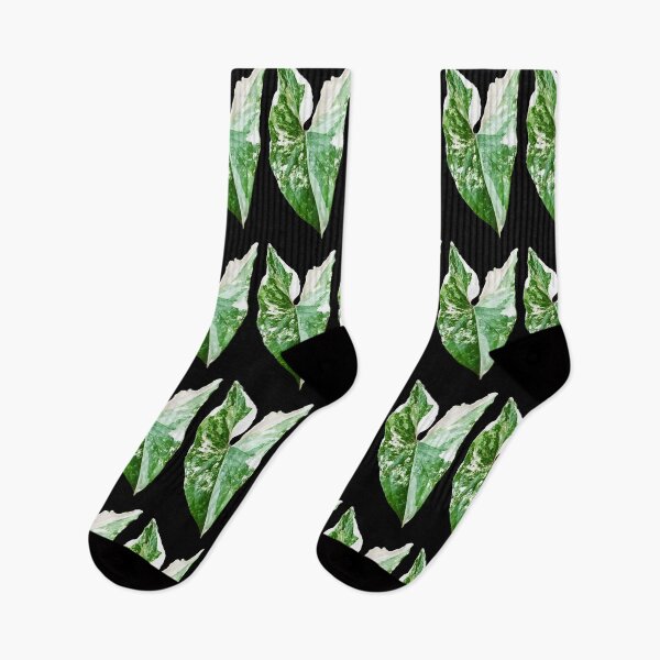 Item preview, Unique and organic photo of a Syngonium Albo 3 designed and sold by AvonPerception.