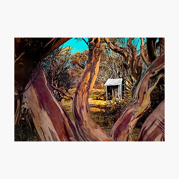The Shack Outback Photographic Print