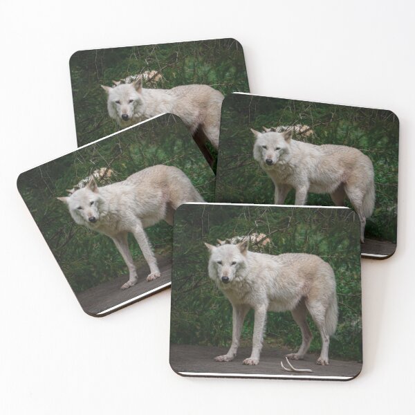 Item preview, Wolf  designed and sold by Photographer37.