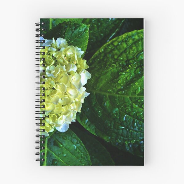 Item preview, Hortensia mojada designed and sold by Nalinne Jones.