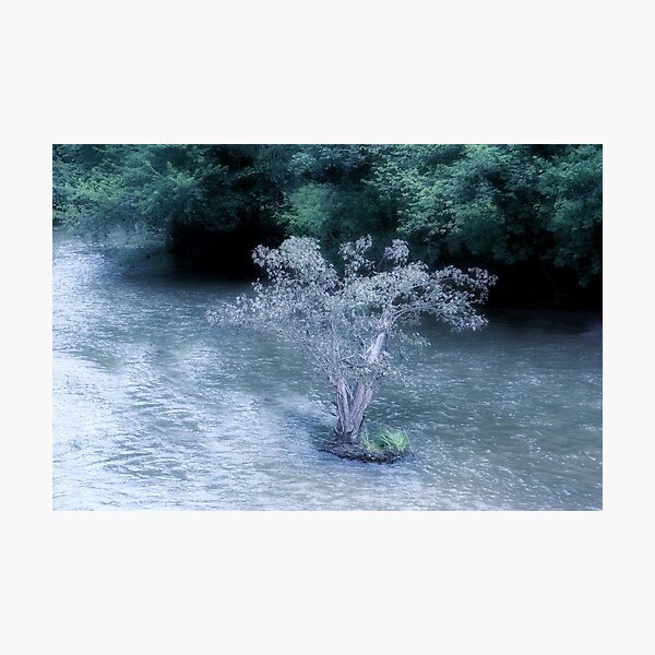 Faerie Island Photographic Print