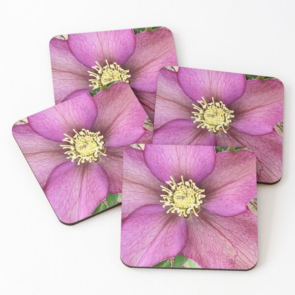 Item preview, Hellebore designed and sold by kimberliedewey.
