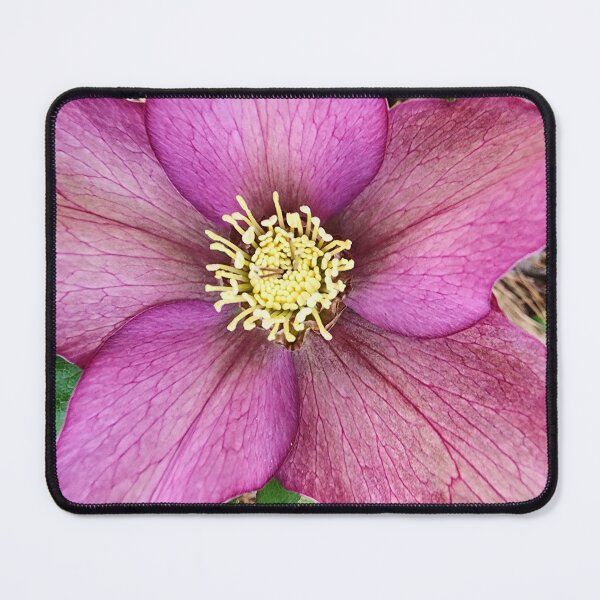 Item preview, Hellebore designed and sold by kimberliedewey.