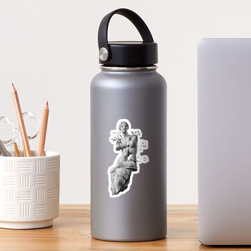 Venus, the classic marble beauty Sticker