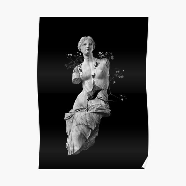 Venus, the classic marble beauty Poster
