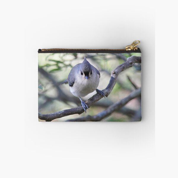 Item preview, Tufted titmouse - up close designed and sold by Linda Crockett.