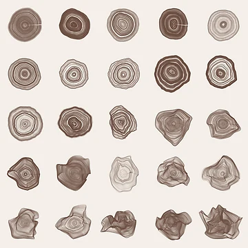 Artwork thumbnail, Tree Rings by generativebunny