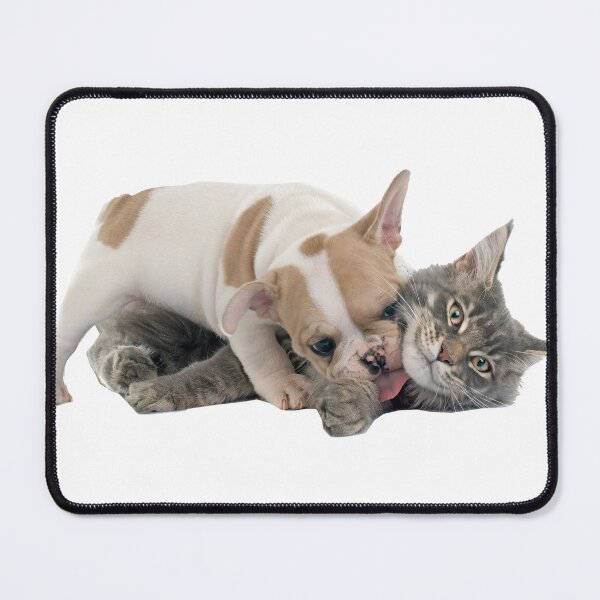 Item preview, cat and dog designed and sold by tienda de regalos y mucho mas.