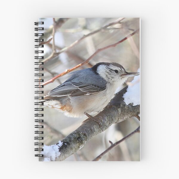 Item preview, White-breasted Nuthatch designed and sold by Linda Crockett.