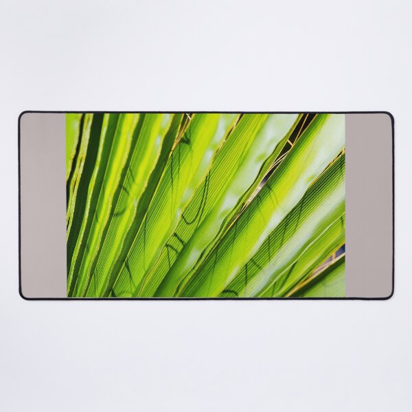 Item preview, Fan Palm Or Celery Stick designed and sold by Joy Watson - Natural Light Photography .