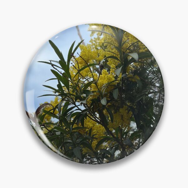 Item preview, Acacia / Wattle Tree  designed and sold by Mariam Kabbout.