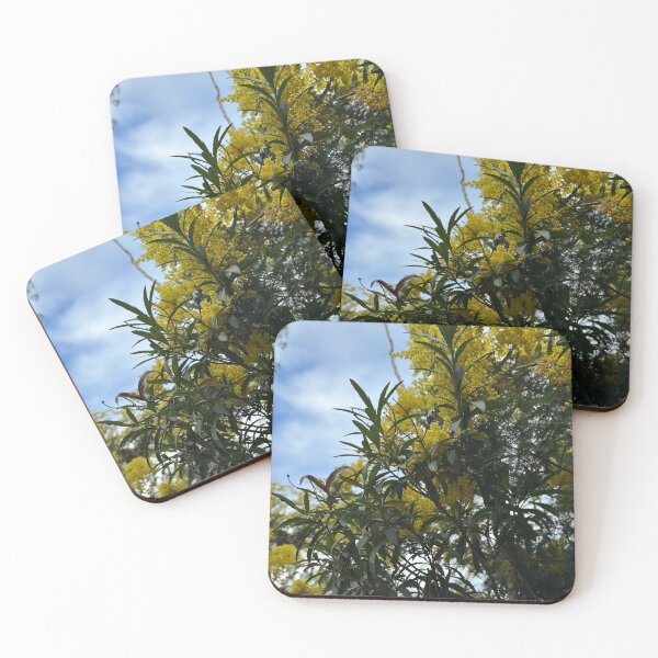 Item preview, Acacia / Wattle Tree  designed and sold by Mariam Kabbout.