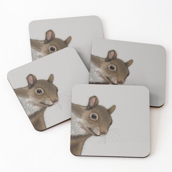 Item preview, Squirrel TShirt, Woodland Animals Shirt, Squirrel Art designed and sold by DogLifeCo.