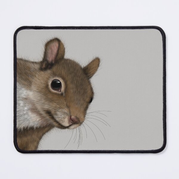 Item preview, Squirrel TShirt, Woodland Animals Shirt, Squirrel Art designed and sold by DogLifeCo.