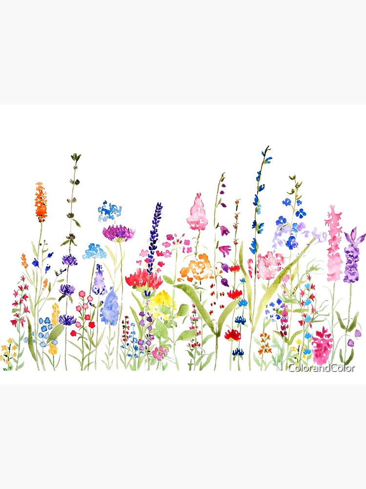 colorful wild flower field by ColorandColor