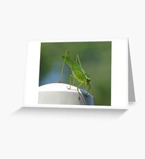 Hopper Greeting Card