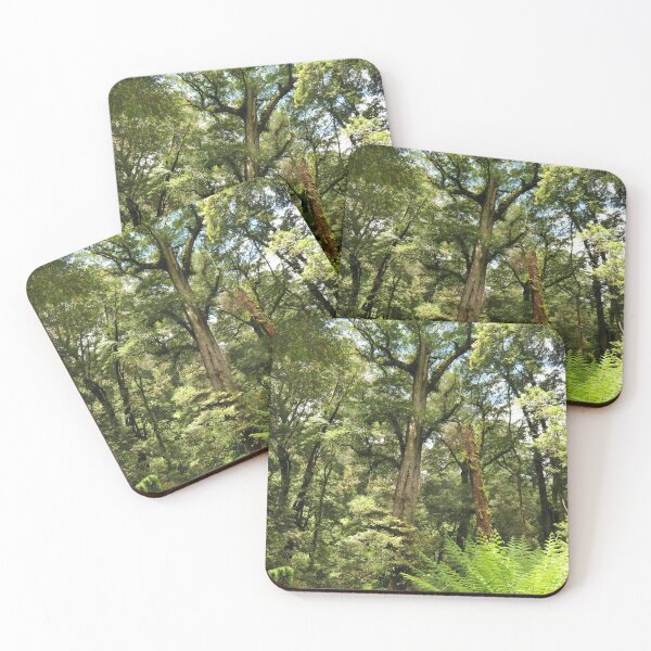 Item preview, Temperate rainforest designed and sold by quentinjlang.