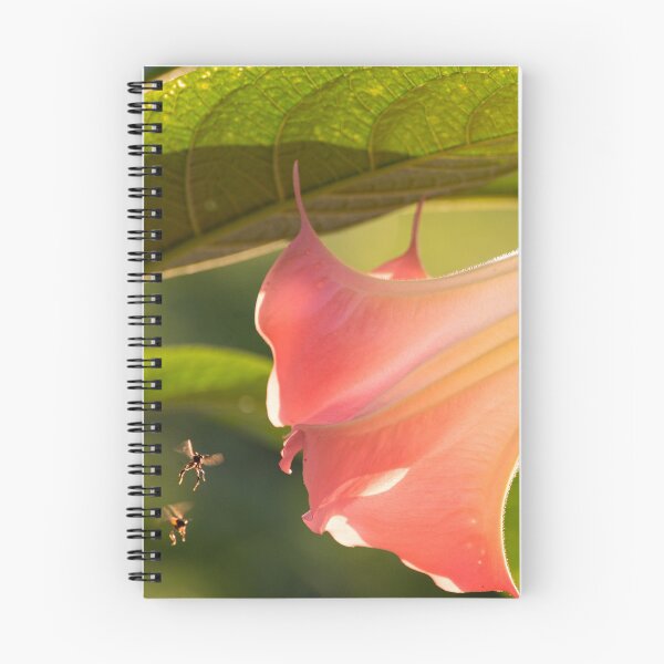 Item preview, First Bloom designed and sold by Tracy Riddell.