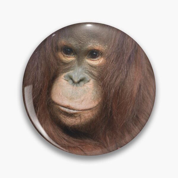 Artikelvorschau, Orang-Utan Kayan entworfen und verkauft von rawshutterbug.