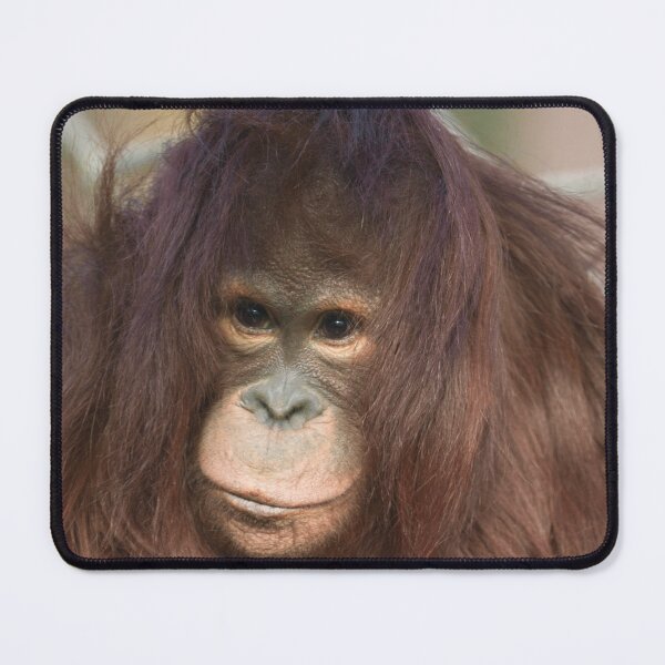 Item preview, Orangutan Kayan designed and sold by rawshutterbug.