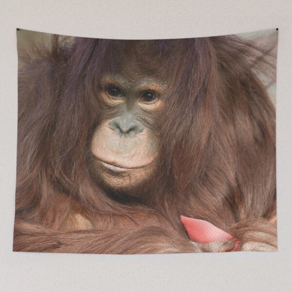 Item preview, Orangutan Kayan designed and sold by rawshutterbug.