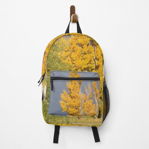 Item preview, Argentina - El Calafate designed and sold by franck380.