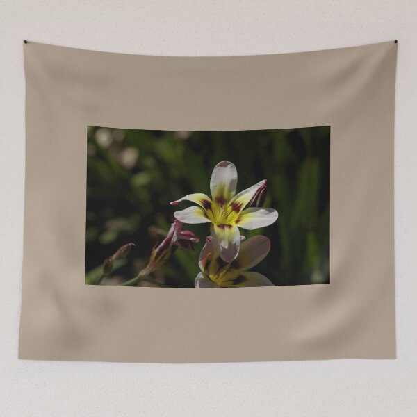 Item preview, A thing of Beauty designed and sold by Mrtweety.