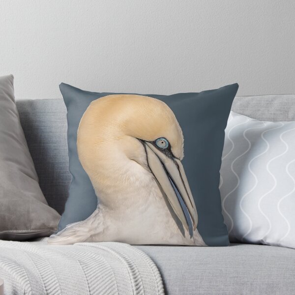 Item preview, Northern gannet designed and sold by AliMarleyPhoto.