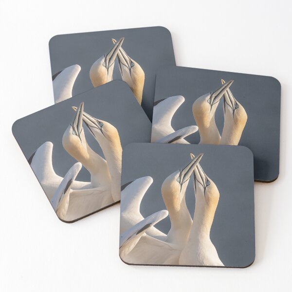 Item preview, Northern gannet couple designed and sold by AliMarleyPhoto.
