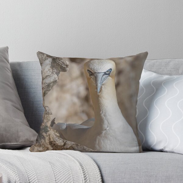 Item preview, Northern gannet designed and sold by AliMarleyPhoto.