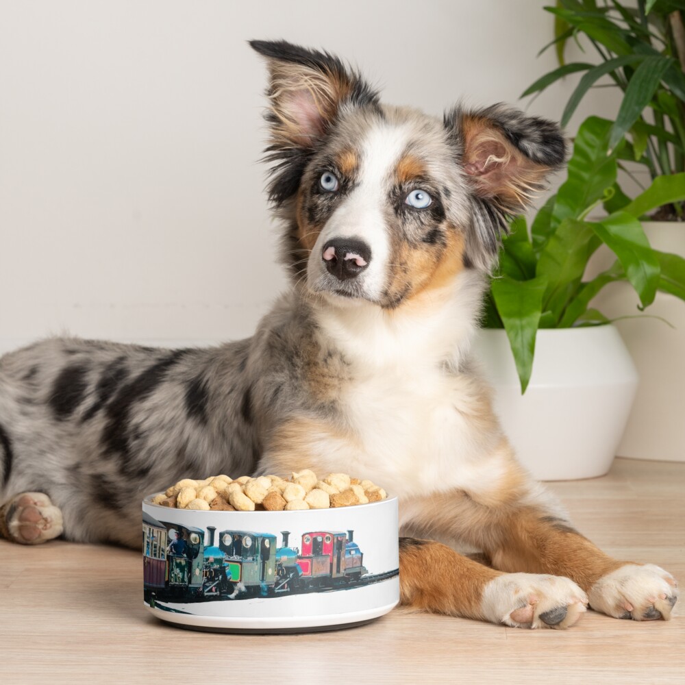 Item preview, Pet Bowl designed and sold by bywhacky.