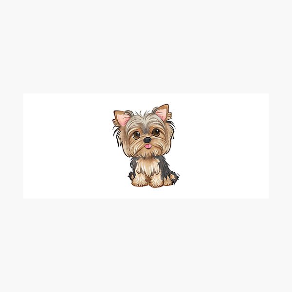 Pastor Inglês e Yorkshire Terrier – Item: 1046