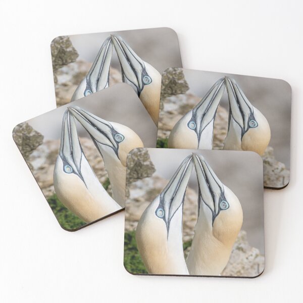 Item preview, Northern gannet couple designed and sold by AliMarleyPhoto.