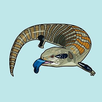 Artwork thumbnail, Blue-tongued skink cartoon illustration by Misscartoon