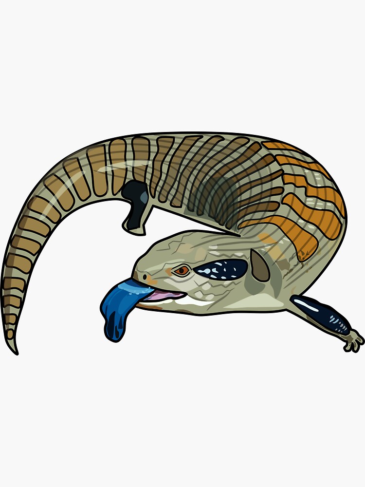Thumbnail 3 of 3, Sticker, Blue-tongued skink cartoon illustration designed and sold by Misscartoon.