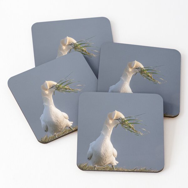 Artikelvorschau, Northern Gannet entworfen und verkauft von AliMarleyPhoto.