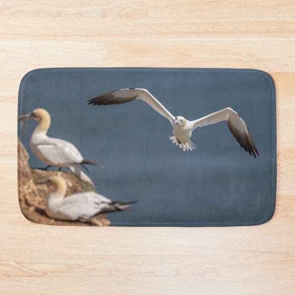 Item preview, Northern Gannet designed and sold by AliMarleyPhoto.