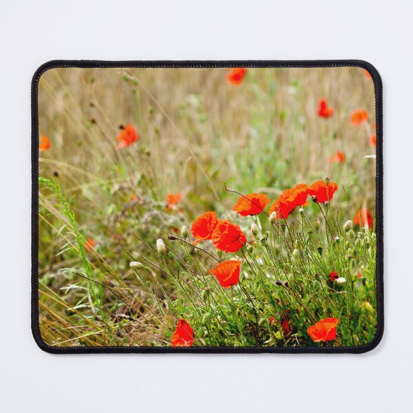 Item preview, poppies designed and sold by Einsiedel.