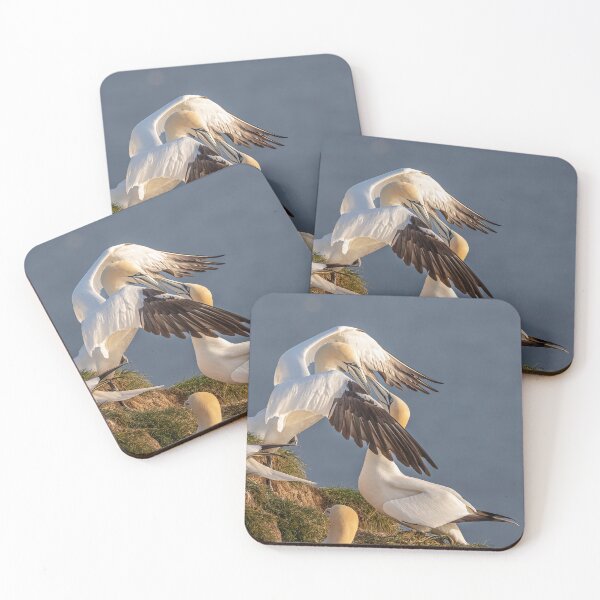Item preview, Northern Gannet couple designed and sold by AliMarleyPhoto.