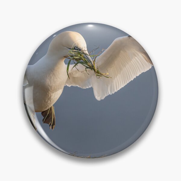 Artikelvorschau, Northern Gannet take off entworfen und verkauft von AliMarleyPhoto.