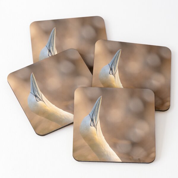 Artikelvorschau, Northern Gannet entworfen und verkauft von AliMarleyPhoto.