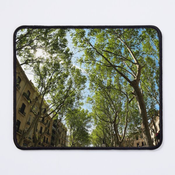 Item preview, Palma de Mallorca designed and sold by Einsiedel.