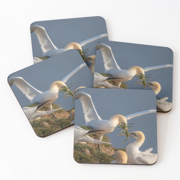 Item preview, Northern Gannet couple designed and sold by AliMarleyPhoto.