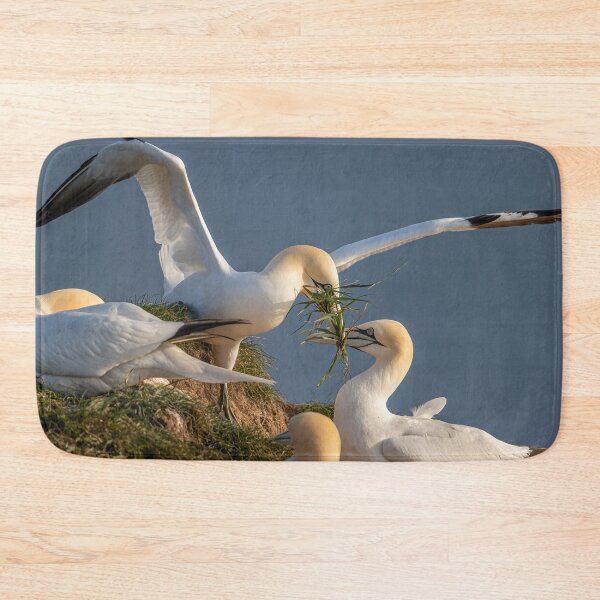 Item preview, Northern Gannet couple designed and sold by AliMarleyPhoto.