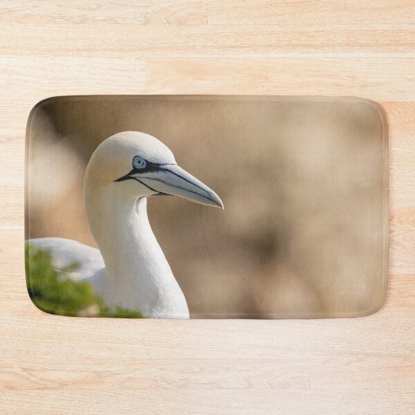 Item preview, Northern Gannet  designed and sold by AliMarleyPhoto.