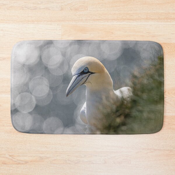 Item preview, Northern Gannet  designed and sold by AliMarleyPhoto.
