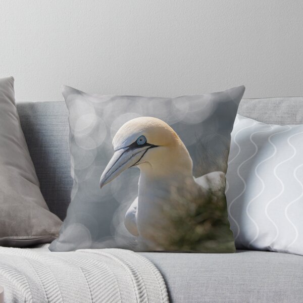 Item preview, Northern Gannet  designed and sold by AliMarleyPhoto.