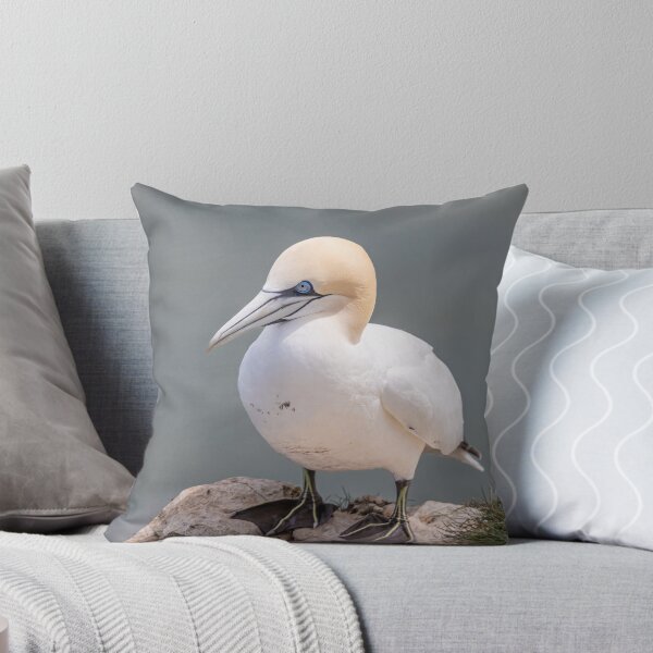 Item preview, Northern Gannet  designed and sold by AliMarleyPhoto.
